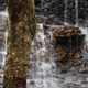 Illustration for article titled Fall Photos 2